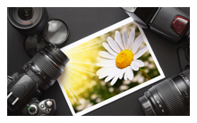 无限短信网页在线轰炸